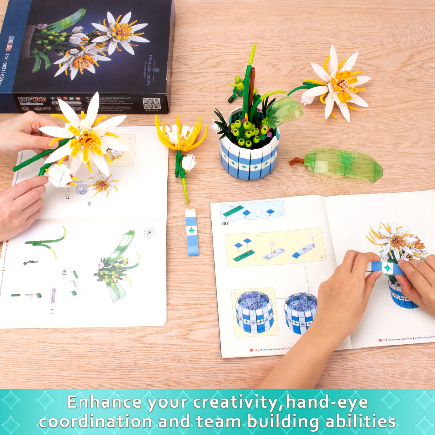 EDUCIRO piphyllum Flowers Bouquet Building Set, Flower Botanical Bonsai Building