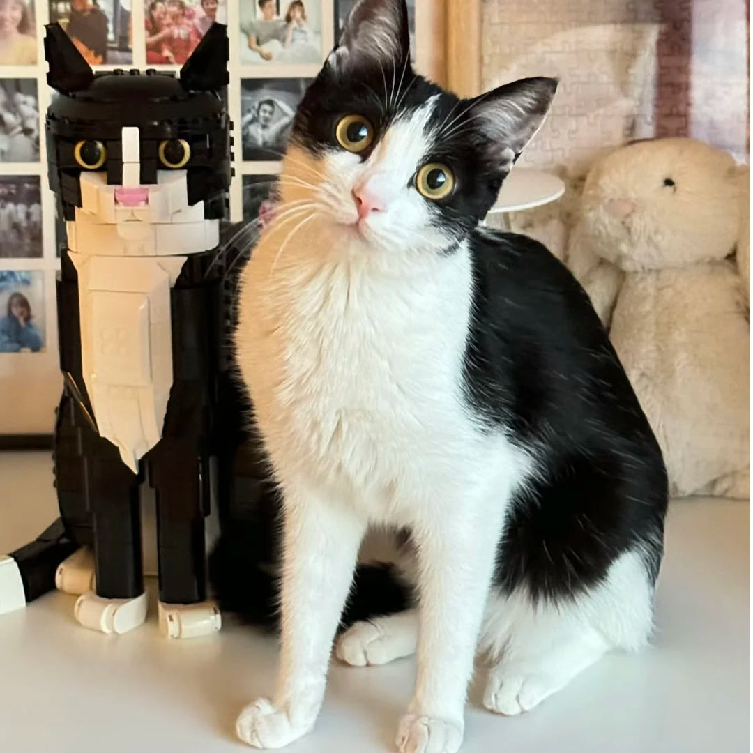 Cat Building Blocks Bricks Creative Cartoon Animal Assembly Educational Puzzle