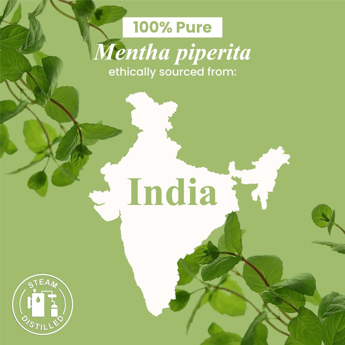 Handcraft Blends Peppermint Essential Oil – Huge 4 Fl Oz – 100% Pure and Natural – Premium Grade Essential Oil for Diffuser and Aromatherapy, Skin, Massage, Candle and Soap Making Fragrance