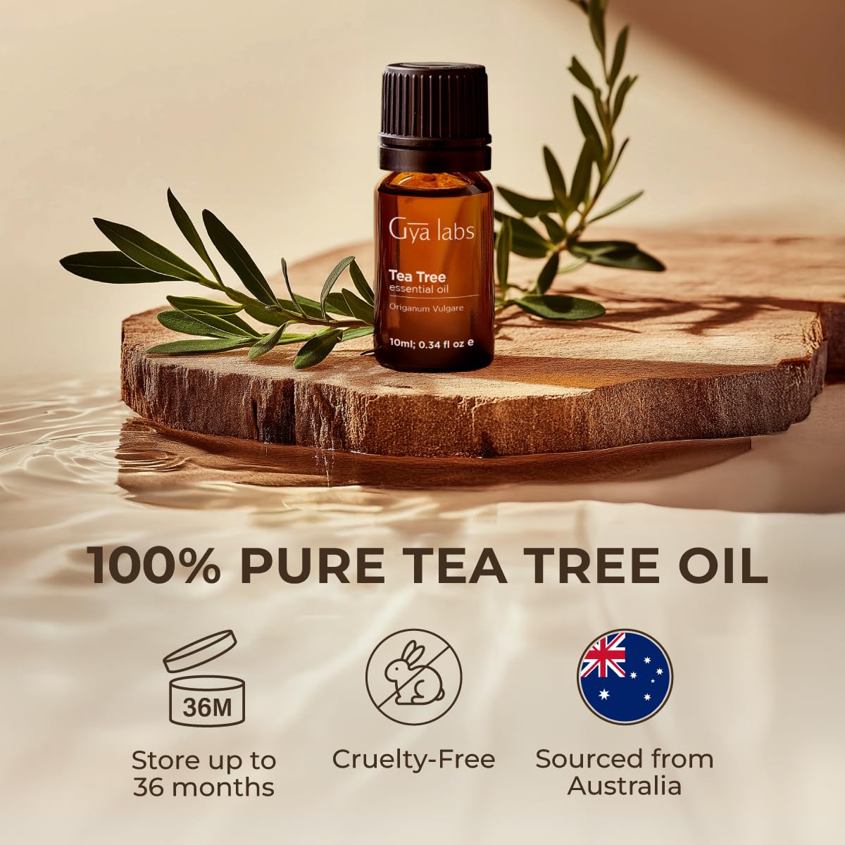 Gya Labs Australian Tea Tree Essential Oil for Skin - 0.34 Fl Oz - 100% Pure Natural Melaleuca Tea Tree Oil for Hair, Face, & Toenail, Piercings Scalp & Candle Making Scent