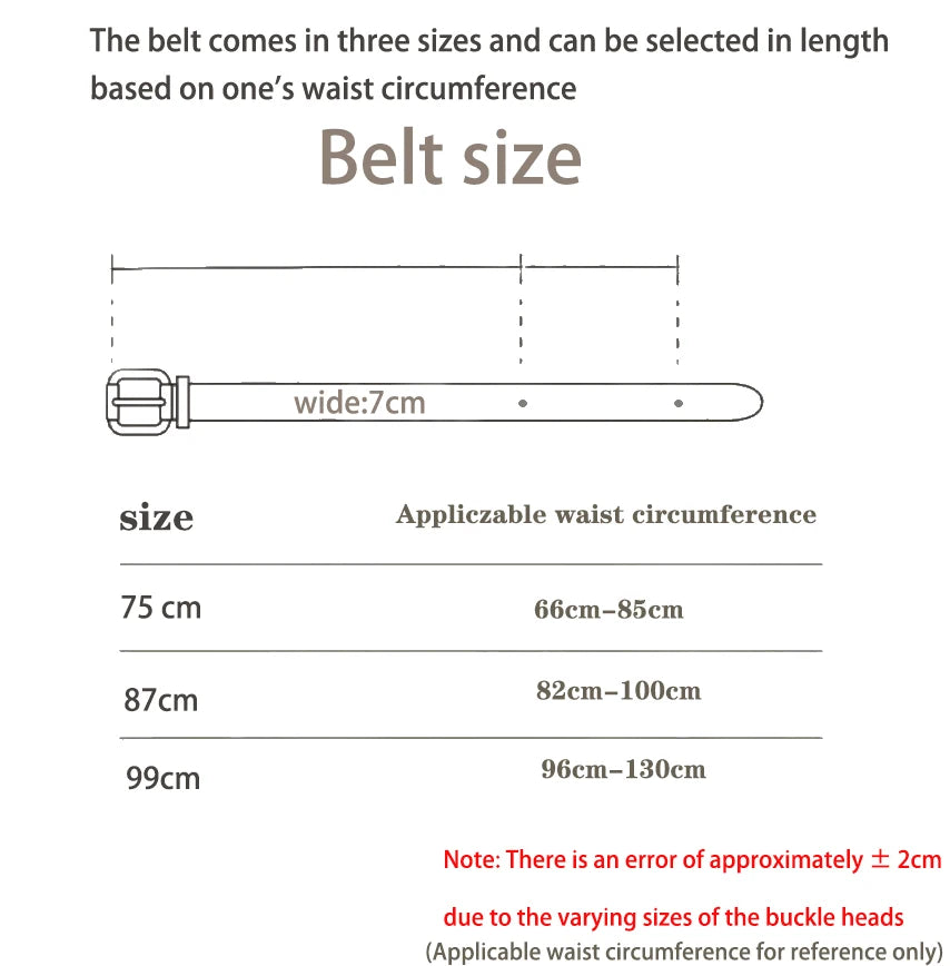 Y2K Style Eyelet Women's Patchwork Belt, Silver Carved Alloy Buckle, Personalized and Fashionable Women's Belt