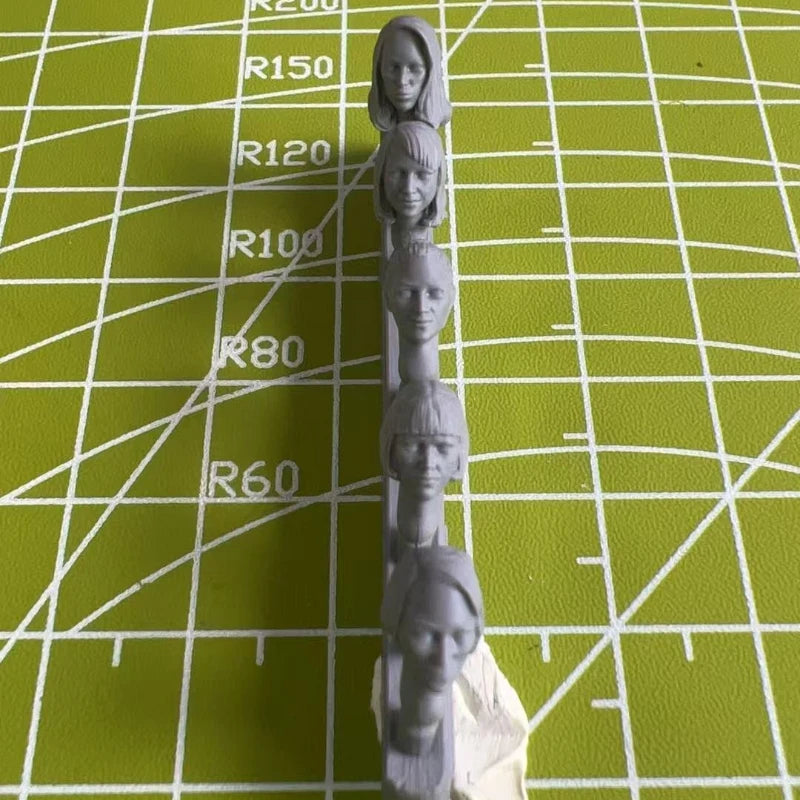 1:35 Die Casting Resin Model Assembly Kit Character Head Model Replacement Modification Unpainted 350046