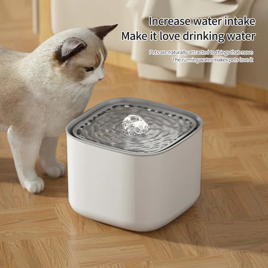 3L Cat Water Fountain Recirculate Filter Capacity USB Filter Cat Water Drinker
