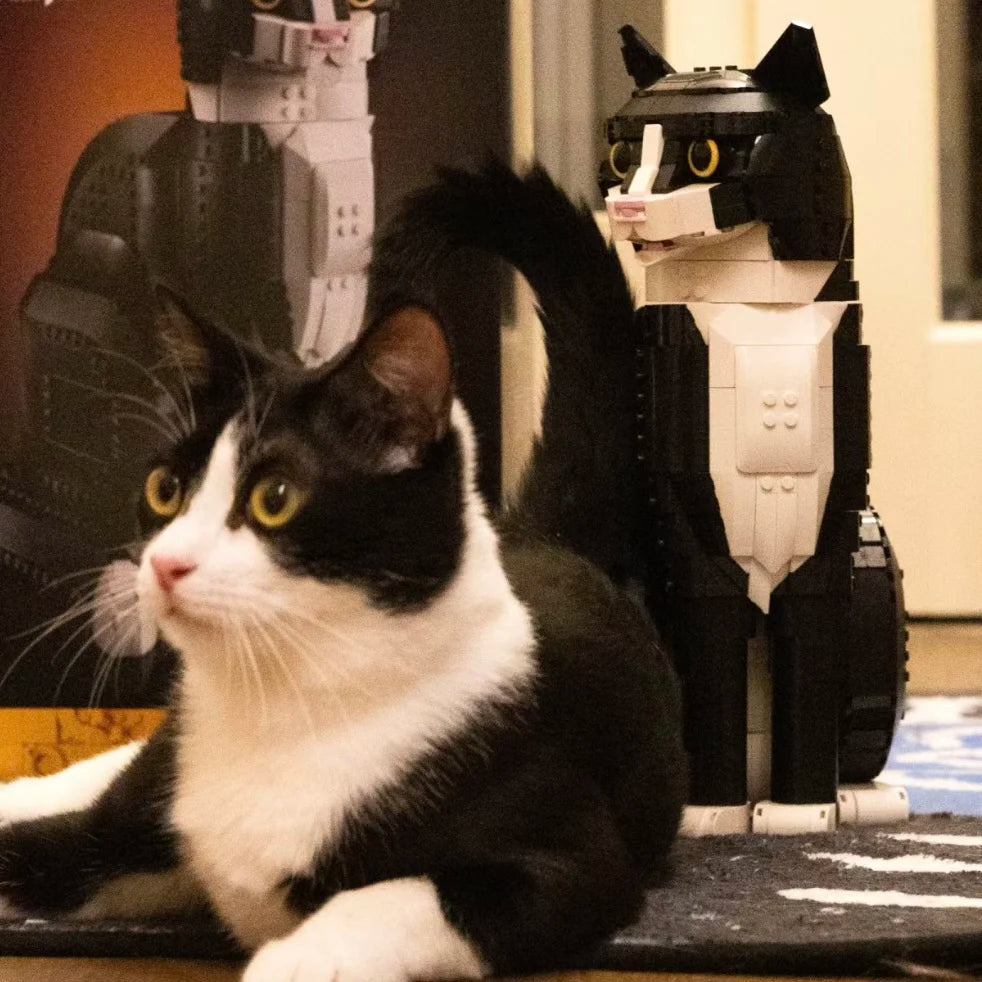 Cat Building Blocks Bricks Creative Cartoon Animal Assembly Educational Puzzle