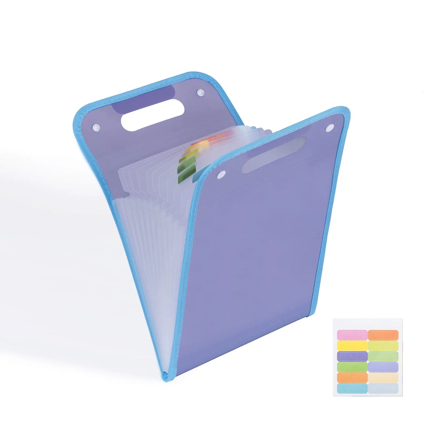 Expanding A4 File Folder,13 Pockets File Organizer with Portable Holder,A4 Size Accordion Document Folder for Office School