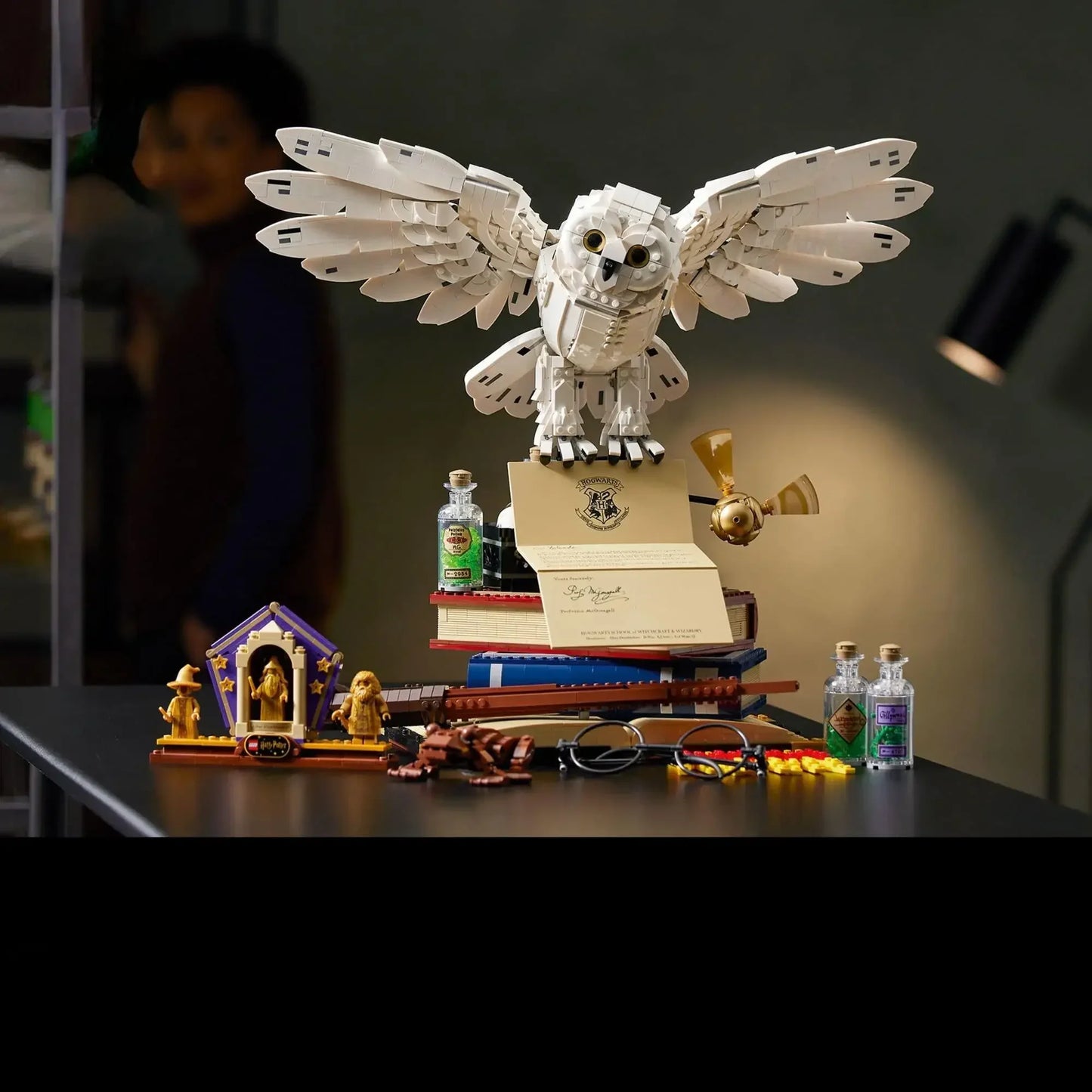 76391 Collectors Owl Bird Building Blocks Assembling 3010PCS Model Bricks Toys