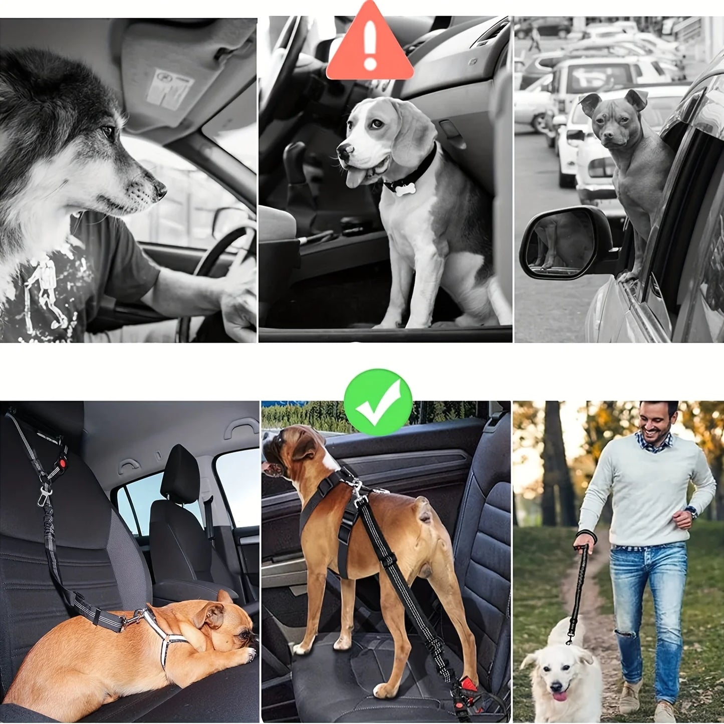 1pc Adjustable 2-in-1 Pet Car Seat Belt & Harness, with Secure Buckle & Elastic Bungee Buffer, Ideal for Safe Travel with Dogs