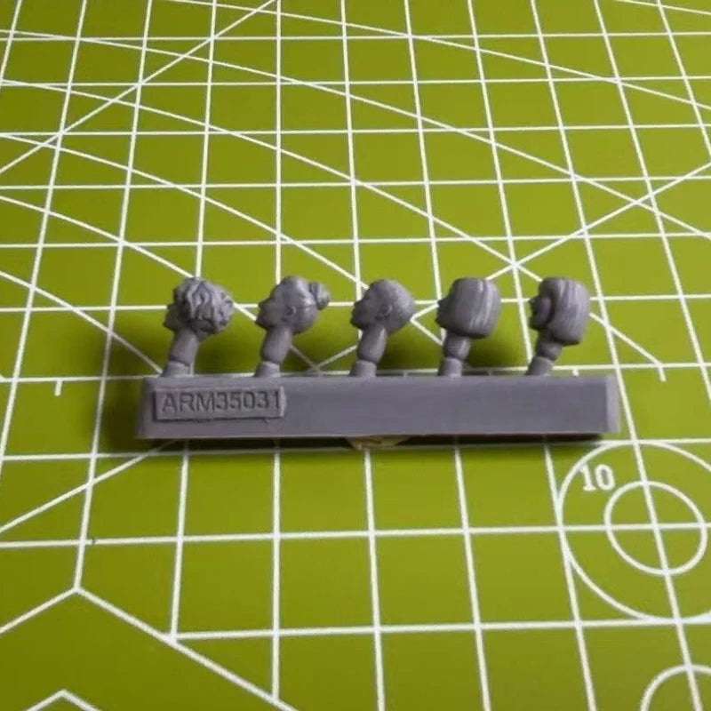 1:35 Die Casting Resin Model Assembly Kit Character Head Model Replacement Modification Unpainted