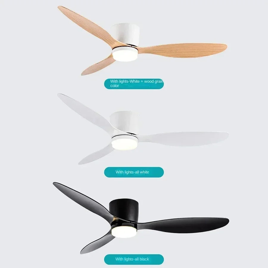 Modern LED Ceiling Fan Lights, Low Floor Decorative Light, Lighting Fans Control