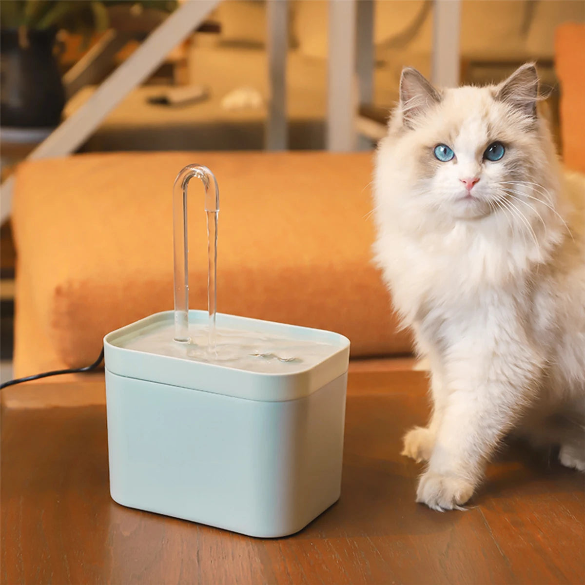 1.5L Automatic Cat Water Fountain, Quiet Filtered Hydration Pets Water Fountain