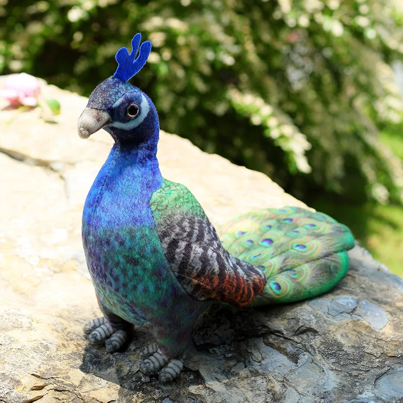 Simulation Stuffed Animal Cute Birds Parrots Toucan Eagle Peacock  Pigeon Plushies Toys Educational Gift