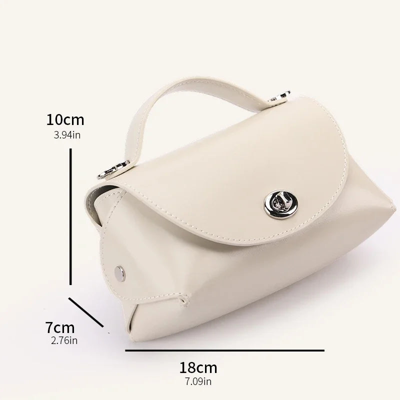 Genuine Cowhide Leather Mini Flap Crossbody Bag for Women Luxury Designer Smooth Leather Top Handle Bag with Twist Lock Closure